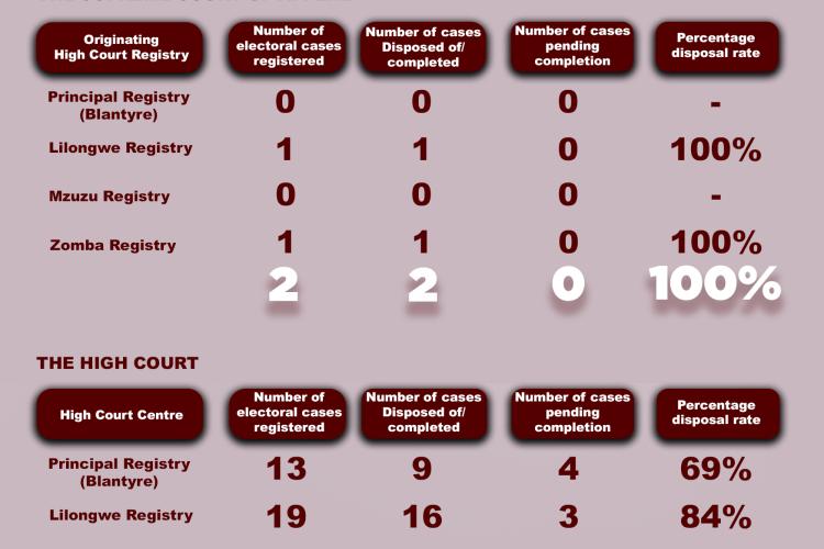 Elections Case Statistics 2025