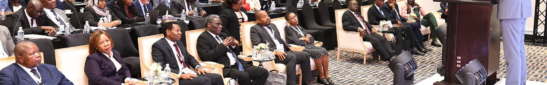 𝗛𝗼𝗻𝗼𝘂𝗿𝗮𝗯𝗹𝗲 𝗖𝗵𝗶𝗲𝗳 𝗝𝘂𝘀𝘁𝗶𝗰𝗲 𝗠𝘇𝗶𝗸𝗮𝗺𝗮𝗻𝗱𝗮, 𝗦𝗖, 𝗘𝗹𝗲𝗰𝘁𝗲𝗱 𝗖𝗵𝗮𝗶𝗿𝗽𝗲𝗿𝘀𝗼𝗻 𝗼𝗳 𝘁𝗵𝗲 𝗦𝗼𝘂𝘁𝗵𝗲𝗿𝗻 𝗮𝗻𝗱 𝗘𝗮𝘀𝘁𝗲𝗿𝗻 𝗔𝗳𝗿𝗶𝗰𝗮 𝗖𝗵𝗶𝗲𝗳 𝗝𝘂𝘀𝘁𝗶𝗰𝗲𝘀’ 𝗙𝗼𝗿𝘂𝗺